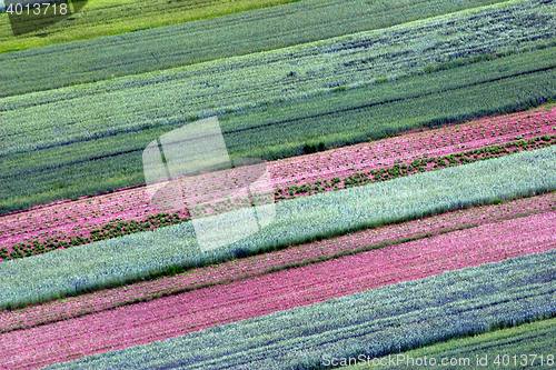 Image of Abstract landscape, Aerial view of colorful fields