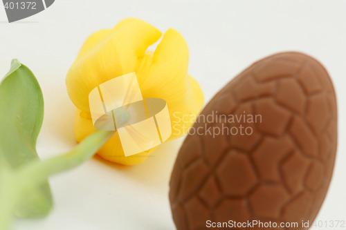 Image of tulip and egg