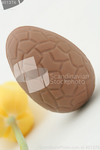 Image of  egg and tulip