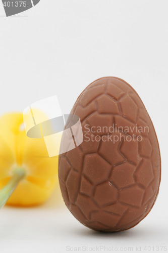 Image of yellow tulip and egg