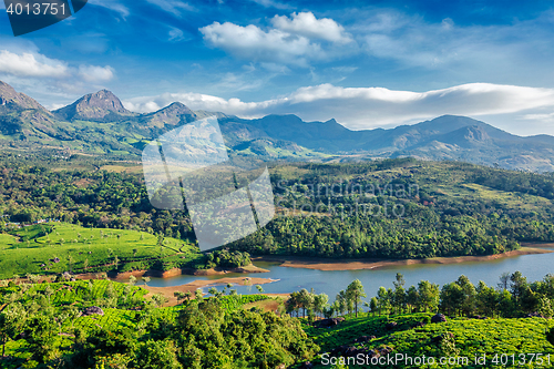 Image of Tea plantations and river in hills. Kerala, India