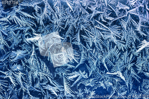 Image of Winter frost patters