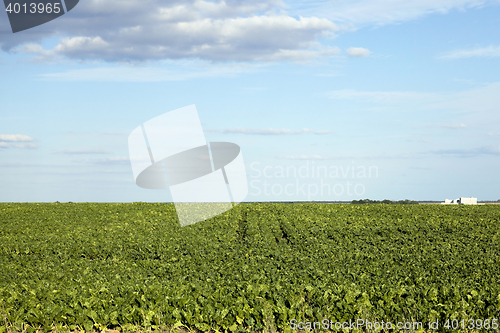 Image of Photo agriculture, Europe