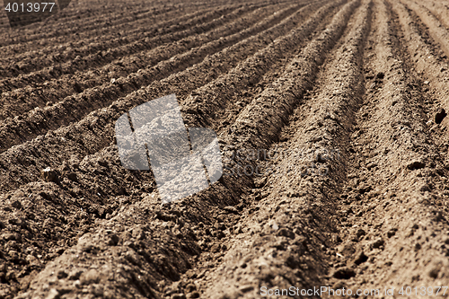 Image of plowed land, furrows