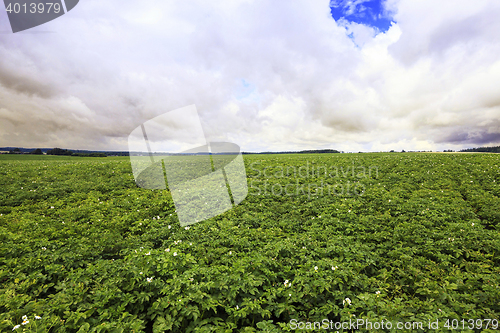 Image of Photo agriculture, Europe