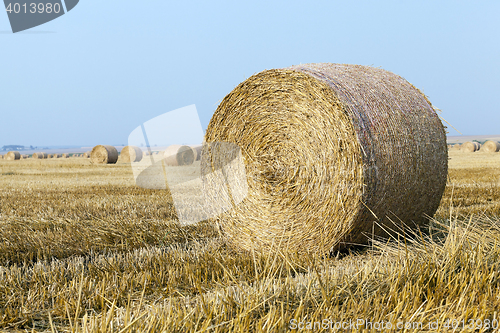 Image of stack of straw in the field