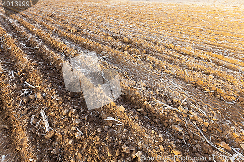 Image of plowed land, frost