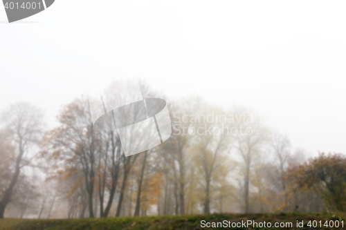 Image of Autumn Park, overcast