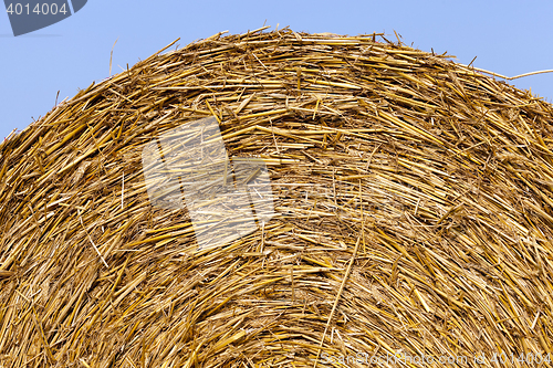 Image of straw in the field