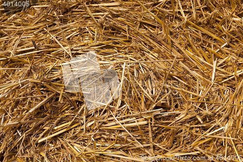 Image of stack of straw in the field