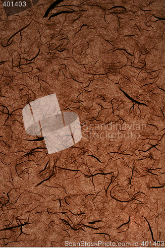 Image of brown paper background2