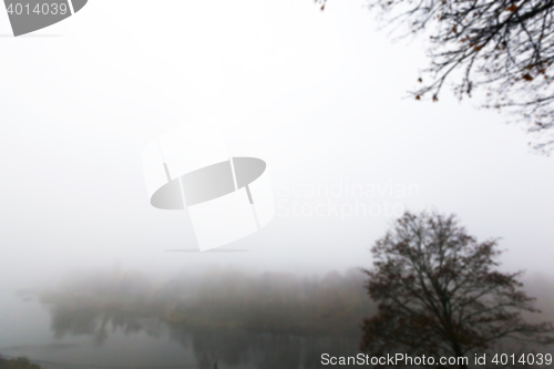 Image of Autumn Park, overcast