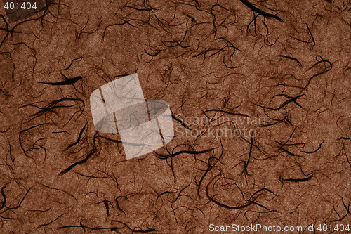 Image of brown paper background