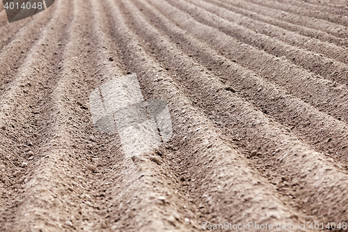 Image of plowed field, furrows