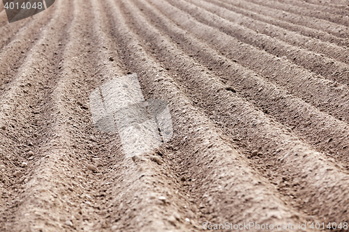 Image of plowed field, furrows