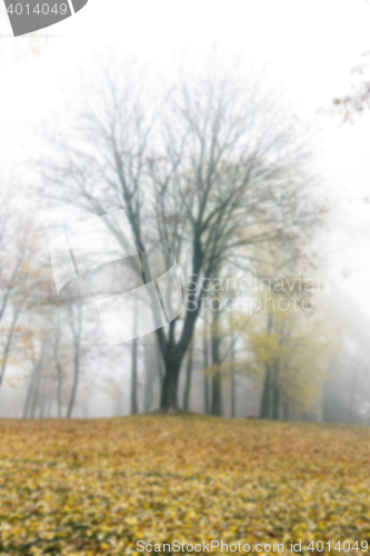 Image of Autumn Park, overcast