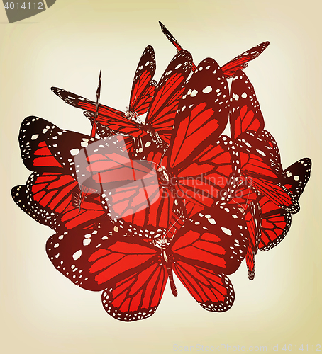 Image of Butterflies. 3D illustration. Vintage style.