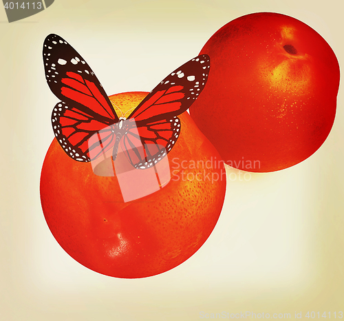 Image of Red butterflys on a fresh peaches. 3D illustration. Vintage styl