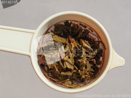 Image of Gunpowder green tea in London