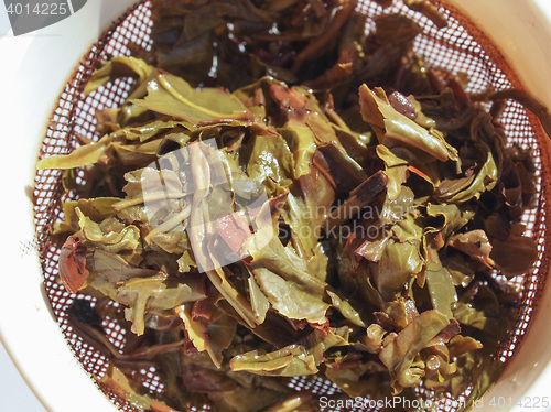 Image of Gunpowder green tea in London