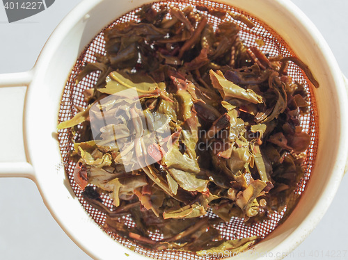 Image of Gunpowder green tea in London