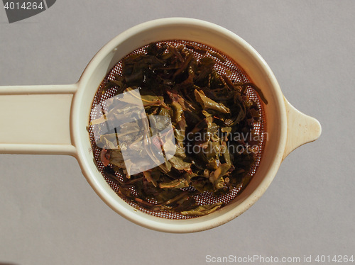 Image of Gunpowder green tea in London