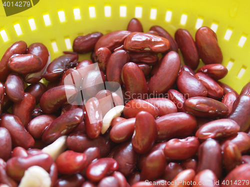 Image of Kidney beans legumes vegetables