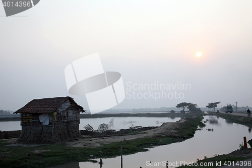Image of Ganges delta in Sunderbands, West Bengal, India