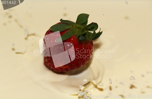 Image of Strawberry and Cream