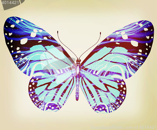 Image of beauty butterfly. 3D illustration. Vintage style.