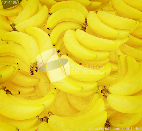 Image of Bananas are a lot of beautiful banana background. 3D illustratio