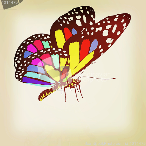 Image of colorful butterfly. 3D illustration. Vintage style.