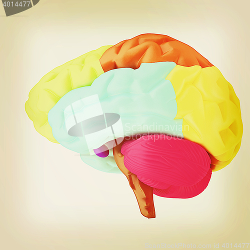 Image of Colorfull human brain. 3D illustration. Vintage style.