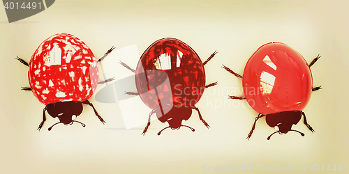 Image of Ladybirds. 3D illustration. Vintage style.