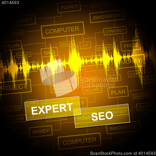 Image of Expert Seo Indicates Search Engine And Sem