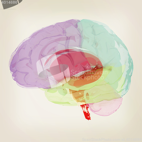 Image of Human brain. 3D illustration. Vintage style.