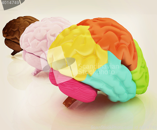 Image of Human brains. 3D illustration. Vintage style.