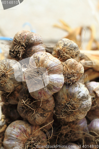 Image of fresh garlic texture
