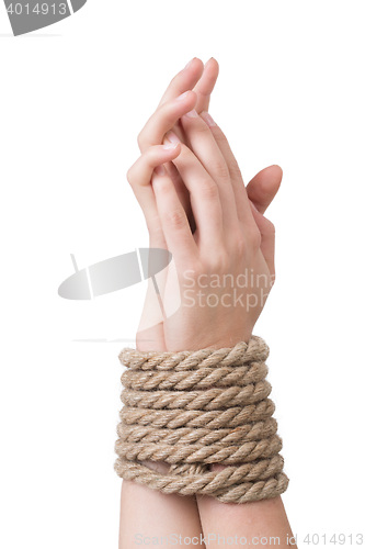 Image of Tied hands, isolated  white