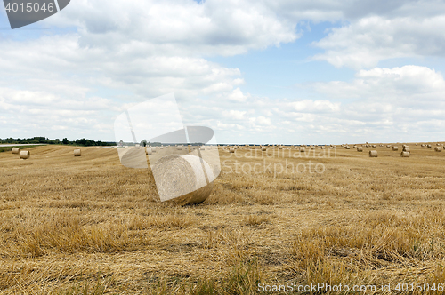 Image of stack of wheat straw