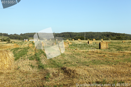 Image of haystacks in a field of straw