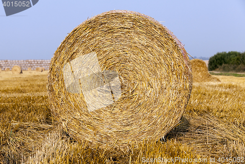 Image of stack of straw in the field