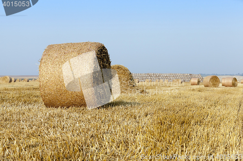 Image of stack of straw in the field