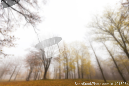 Image of Autumn Park, overcast