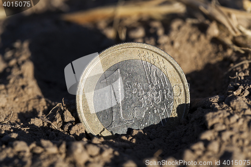 Image of coin on the ground