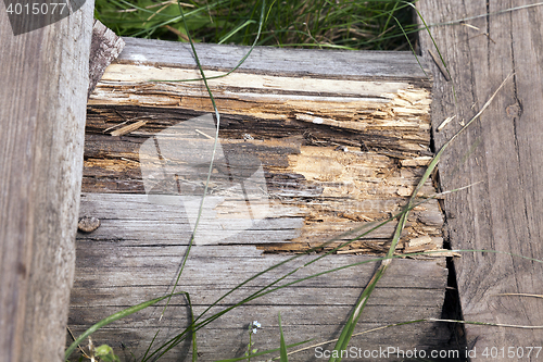 Image of Old wooden ladder