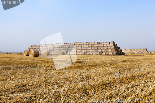 Image of stack of straw in the field