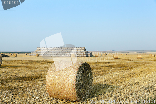 Image of stack of straw in the field