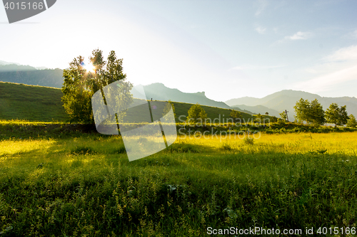 Image of Altai Mountain in summer