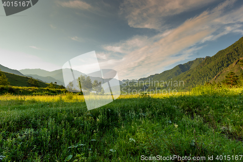 Image of Altai Mountain in summer